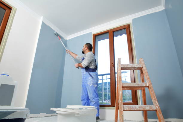 Best Attic Mold Removal  in Conover, NC