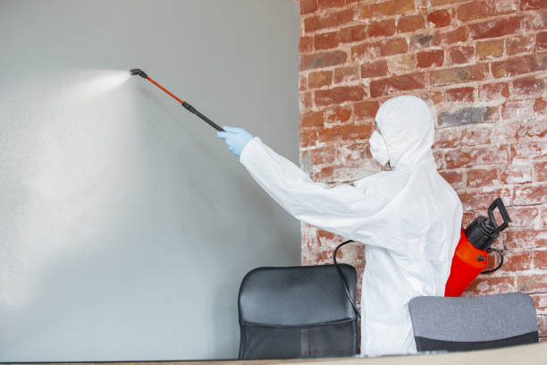 Best Residential Mold Inspection & Testing  in Conover, NC