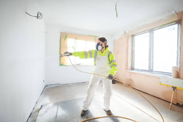 Best Mold Odor Removal Services  in Conover, NC